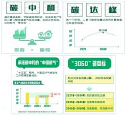 什么是碳達峰、碳中和？碳達峰與碳中和發(fā)展路徑下的電力系統(tǒng)規(guī)劃、運行與控制